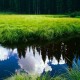 NBA总决赛后MVP历史数据规律与2026展望，nba总决赛mvp排行